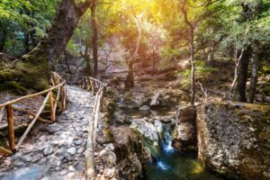 De vlinder vallei in rhodos