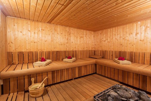 Sauna van Kalithea Horizon Royal